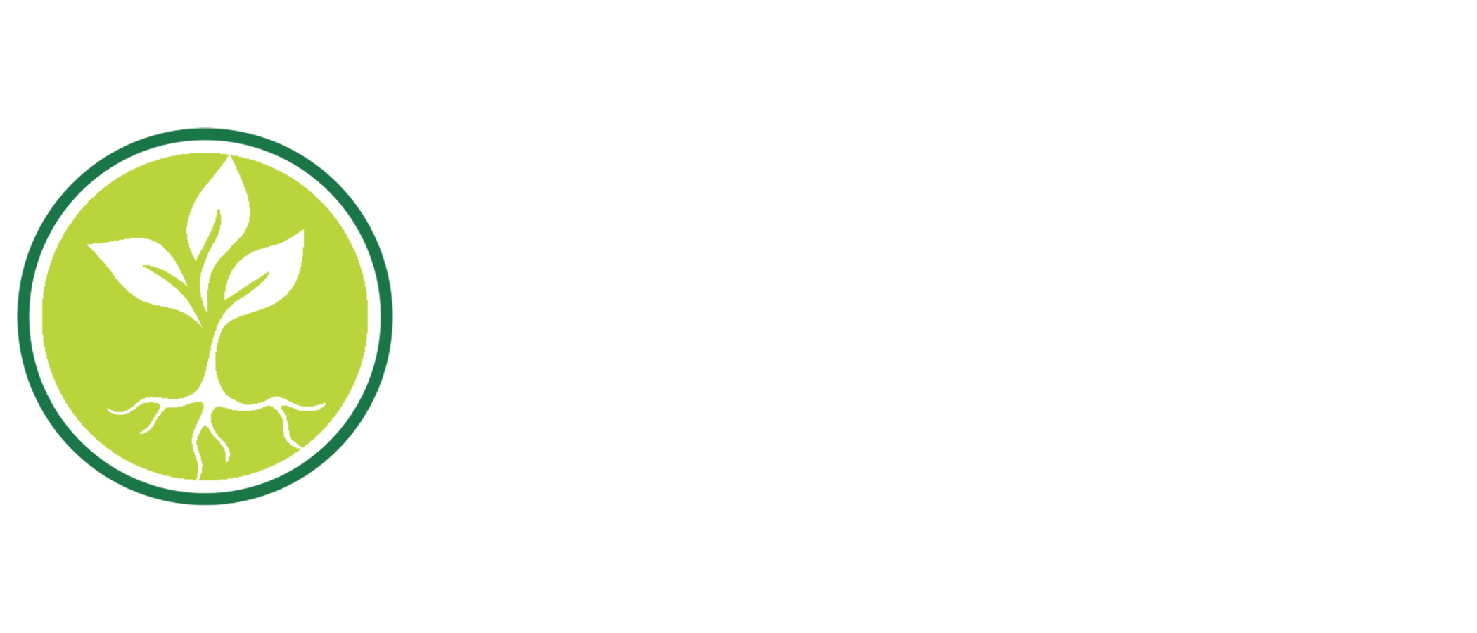 Seeds Energy Logo